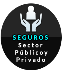 seguros